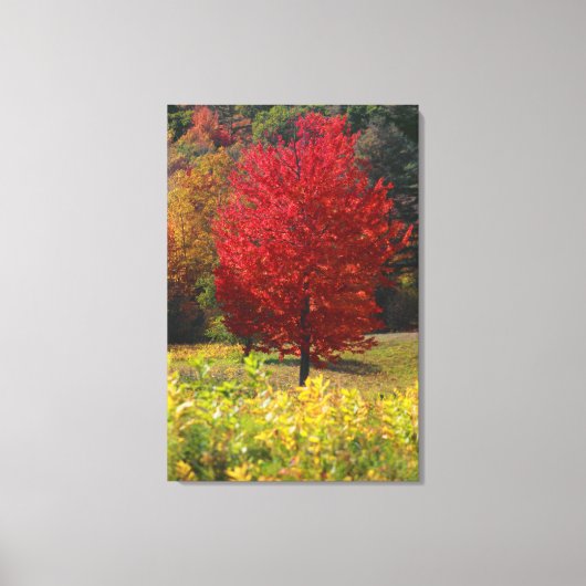 Autumn Home Gifts | Bladeren van rode mantels Canvas Afdruk (Voorkant)
