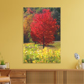 Autumn Home Gifts | Bladeren van rode mantels Canvas Afdruk (Insitu (Woonkamer))