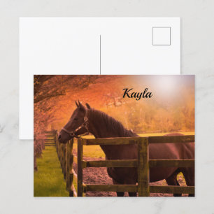 Autumn Horse Briefkaart
