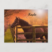 Autumn Horse Briefkaart (Voorkant)