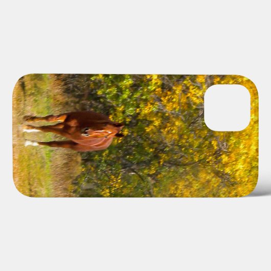 Autumn Horse Case-Mate iPhone Case (Achterkant (horizontaal))