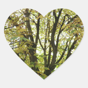 Autumn Horse Chestnut Tree Hart Sticker