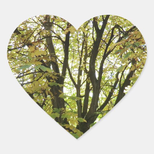 Autumn Horse Chestnut Tree Hart Sticker (Voorkant)