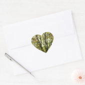 Autumn Horse Chestnut Tree Hart Sticker (Envelop)