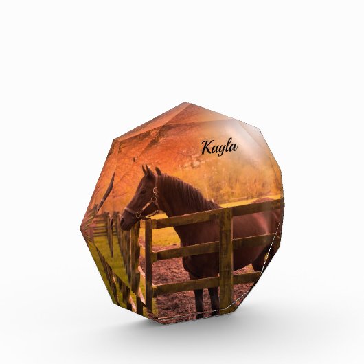 Autumn Horse Fotoblokken (Links)