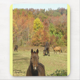 Autumn Horses Mousepad Muismat