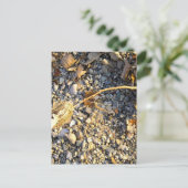 Autumn Impression Briefkaart (Staand voorkant)