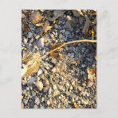 Autumn Impression Briefkaart (Voorkant)