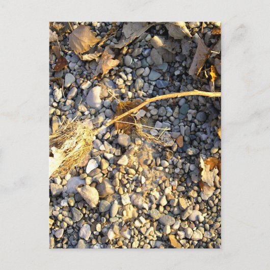 Autumn Impression Briefkaart (Voorkant)