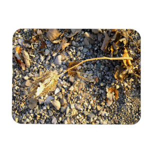 Autumn Impression Magneet