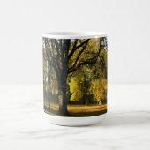 Autumn in Champoeg State Park, OR Koffiemok (Center)