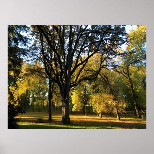 Autumn in Champoeg State Park, OR Poster (Voorkant)