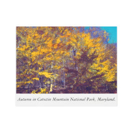 Autumn in het Nationaal Park Catoctin Mountain