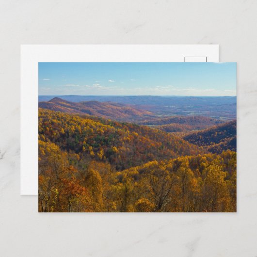 Autumn in het natuurpark Shenandoah, Virginia Briefkaart (Voorkant / Achterkant)