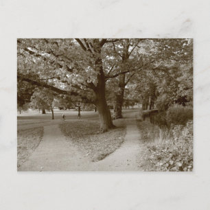 Autumn in het park - Sepia Toned BW Briefkaart