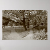 Autumn in het park - Sepia Toned BW Poster (Voorkant)