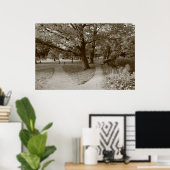 Autumn in het park - Sepia Toned BW Poster (Thuiskantoor)