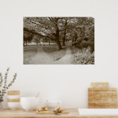 Autumn in het park - Sepia Toned BW Poster (Keuken)