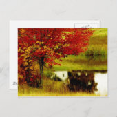 Autumn in Kentucky Briefkaart (Voorkant / Achterkant)