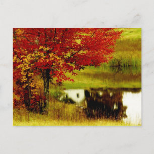 Autumn in Kentucky Briefkaart
