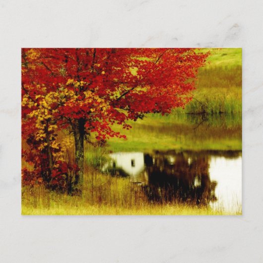 Autumn in Kentucky Briefkaart (Voorkant)