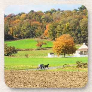Autumn in Lancaster County, PA Drankjes Onderzetter