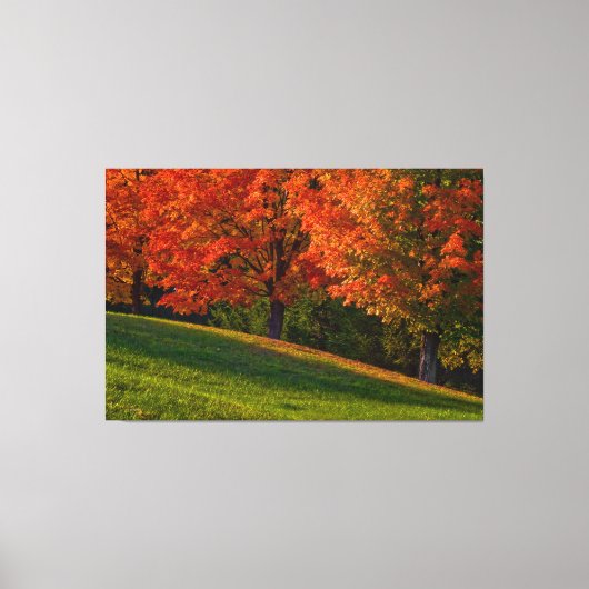 Autumn in New England Gallery Wrap Canvas (Voorkant)