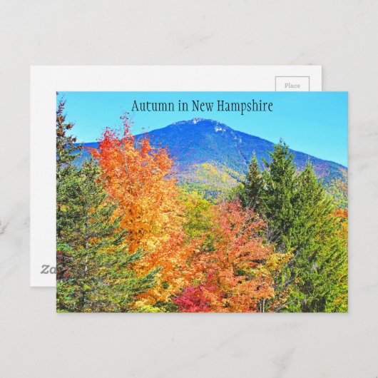 Autumn in New Hampshire Briefkaart (Voorkant / Achterkant)