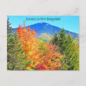 Autumn in New Hampshire Briefkaart (Voorkant)