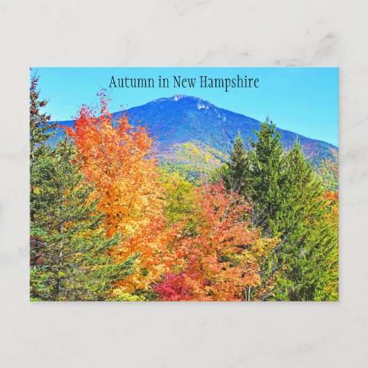 Autumn in New Hampshire Briefkaart (Voorkant)