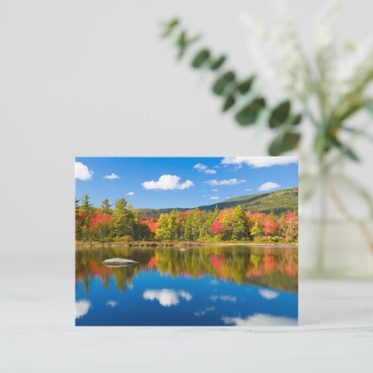 Autumn in New Hampshire Briefkaart (Staand voorkant)