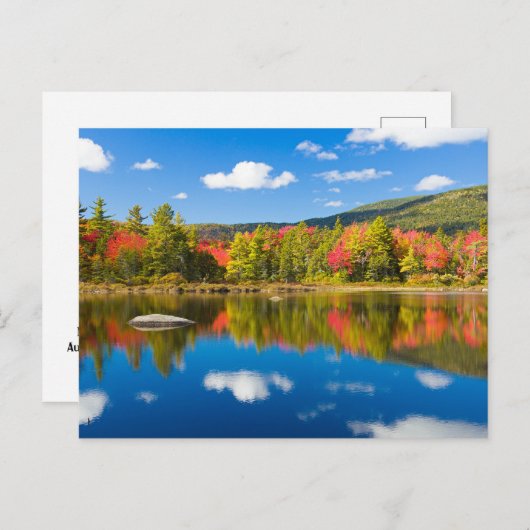 Autumn in New Hampshire Briefkaart (Voorkant / Achterkant)