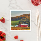 Autumn in New Hampshire Servet (Insitu)