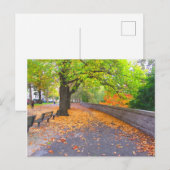 AUTUMN IN NEW YORK CITY BRIEFKAART (Voorkant / Achterkant)