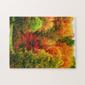 AUTUMN IN NEW YORK STATE puzzle Legpuzzel (Horizontaal)