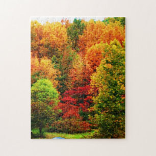 AUTUMN IN NEW YORK STATE puzzle Legpuzzel