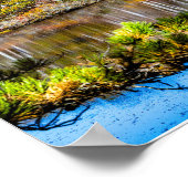 Autumn in Provincetown Poster (Hoek)