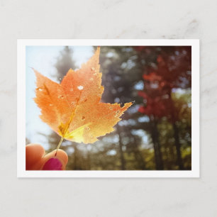 Autumn in Vermont Briefkaart