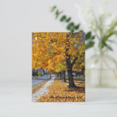 Autumn in West Brookfield, MA Briefkaart (Staand voorkant)