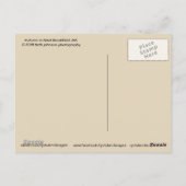 Autumn in West Brookfield, MA Briefkaart (Achterkant)