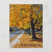 Autumn in West Brookfield, MA Briefkaart (Voorkant)