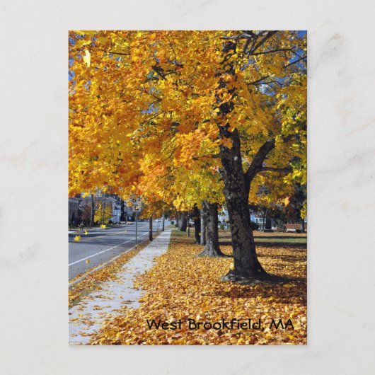 Autumn in West Brookfield, MA Briefkaart (Voorkant)