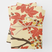 Autumn is changing colors inpakpapier vel (In situ)