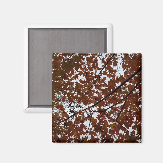 Autumn Joy Magnet (Voorkant / Achterkant)