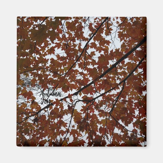 Autumn Joy Magnet (Voorkant)