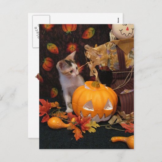 Autumn Kitten - Kaart met haalloween Cat (Voorkant / Achterkant)