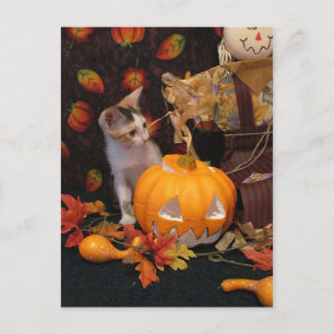 Autumn Kitten - Kaart met haalloween Cat