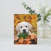 Autumn Labrador Briefkaart (Staand voorkant)