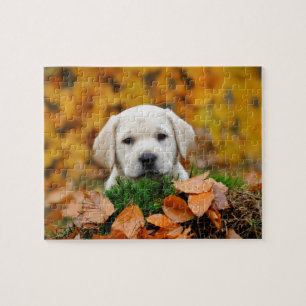Autumn Labrador Legpuzzel
