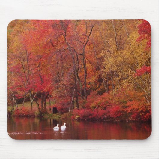 Autumn Lake Muismat (Voorkant)